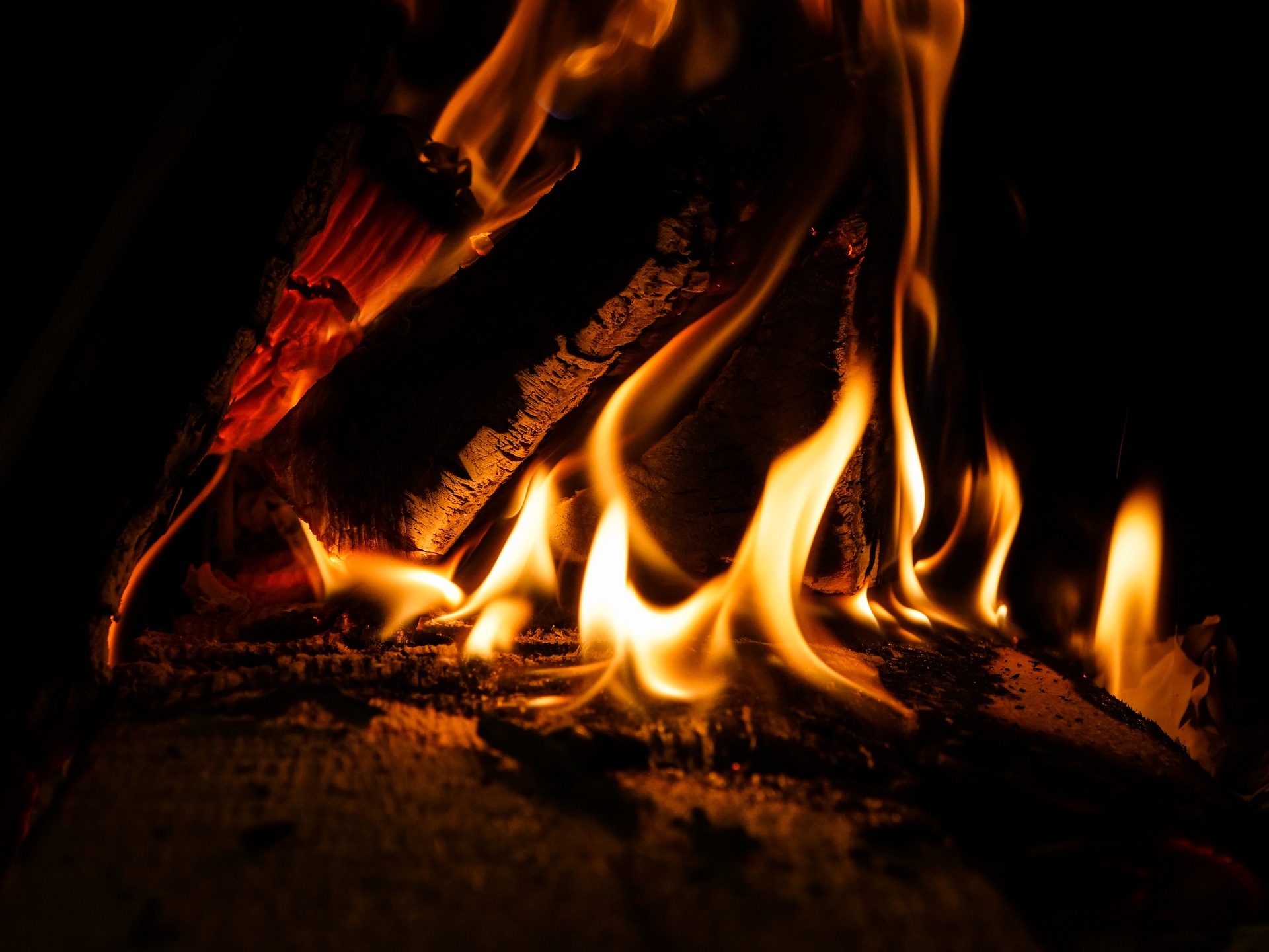 Beitragsbild_holzheiztag